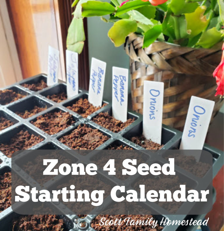 Zone 4 Seed Starting Calendar