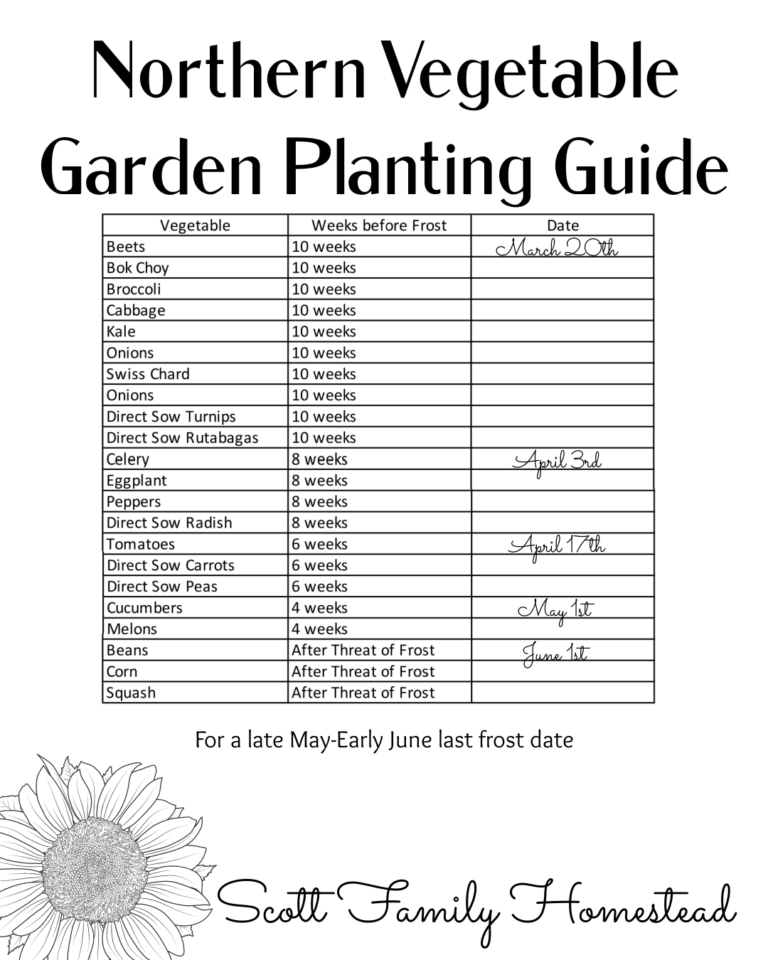 Northern Vegetable Garden Planting Guide